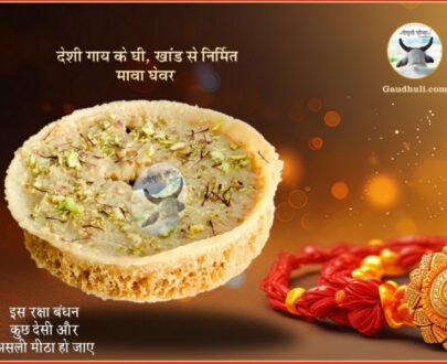 Best Ghewar | शुद्ध घेवर : देशी गाय के घी, खांड से निर्मित - अग्रिम बुकिंग 15 अगस्त 2024 तक - 1kg