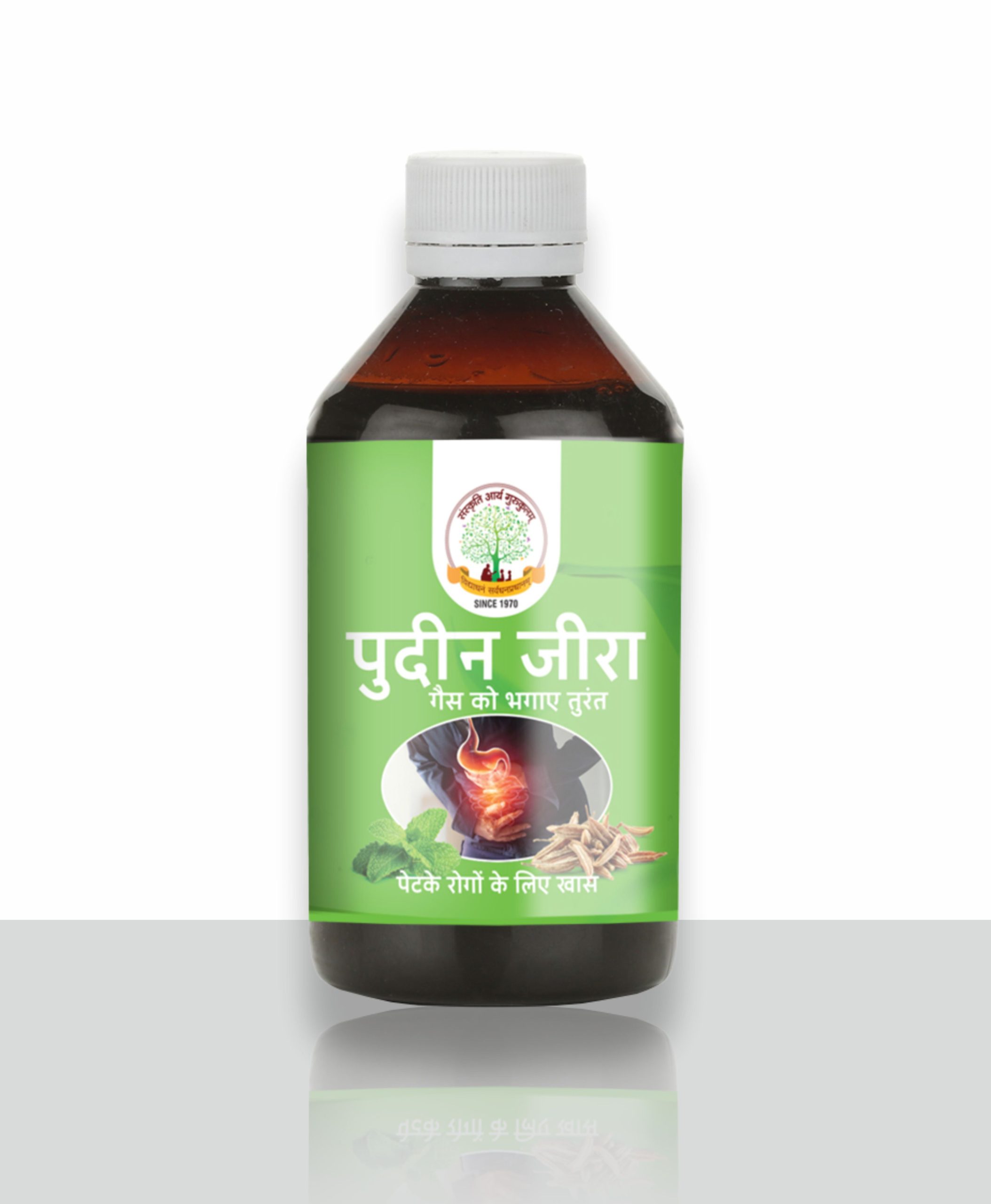 Pudin Jeera Syrup / पुदीन जीरा सिरप 200ml