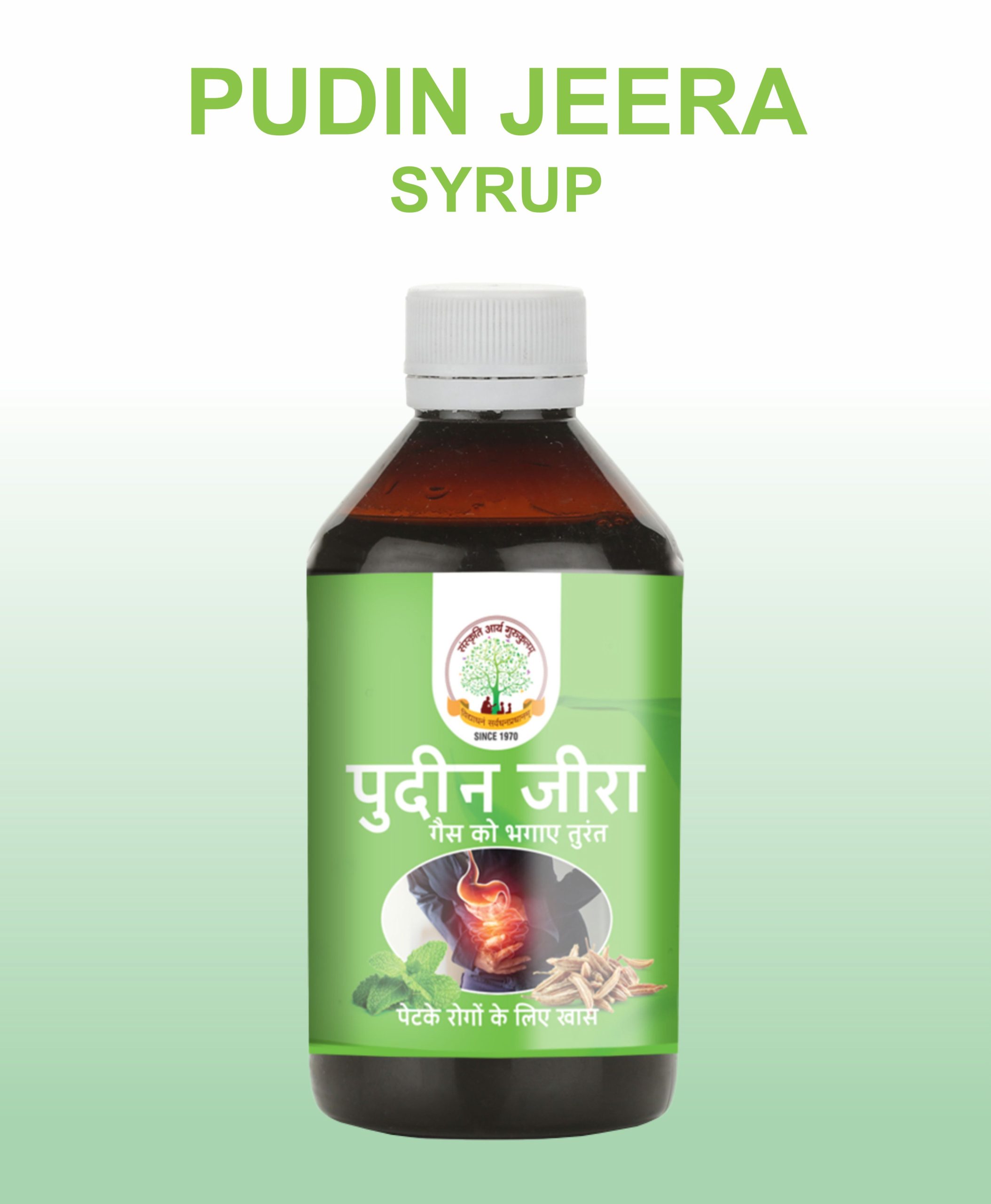 Pudin Jeera Syrup / पुदीन जीरा सिरप 200ml - Image 2