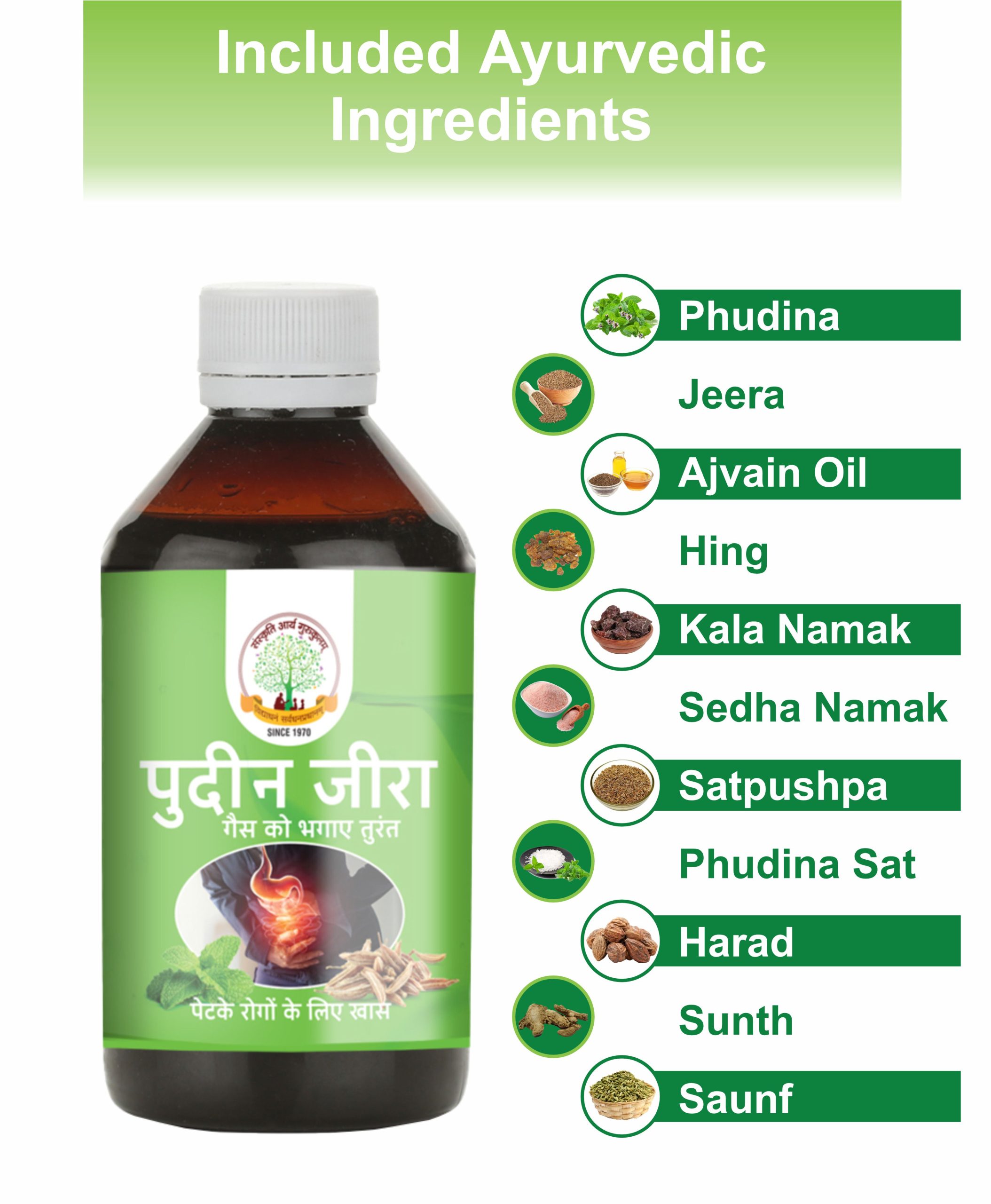 Pudin Jeera Syrup / पुदीन जीरा सिरप 200ml - Image 3