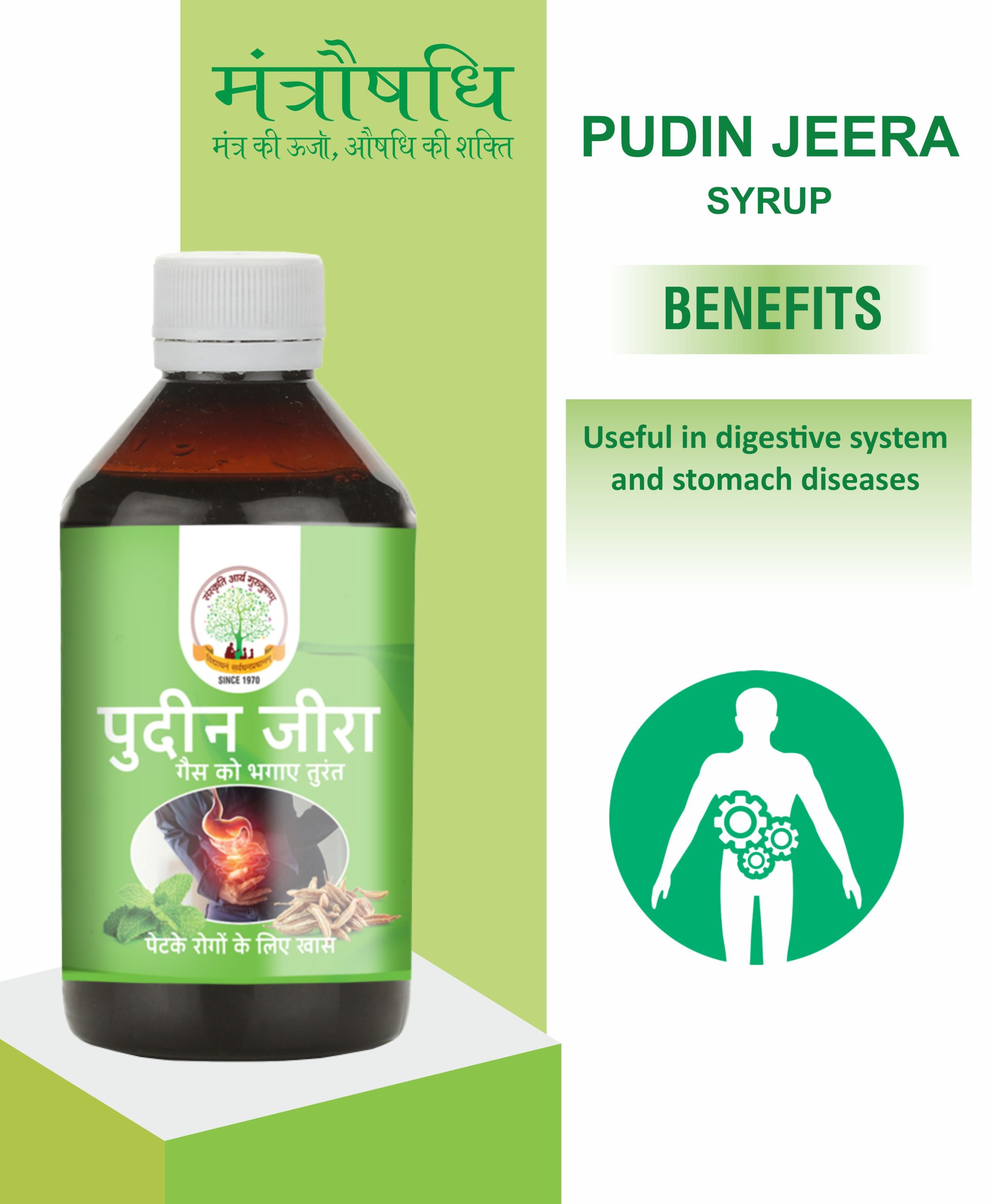 Pudin Jeera Syrup / पुदीन जीरा सिरप 200ml - Image 4
