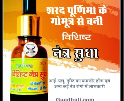 Vishisht Netra Sudha (Dropper) / विशिष्ट नेत्र सुधा – Packed in glass bottle with glass dropper