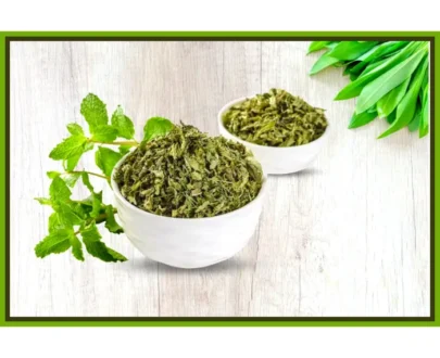 Natural Dry Mint Leaves (Podina) / प्राकृतिक सूखा पोदीना पत्ते – 50gm