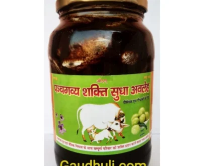 Panchgavya Chavyanprash – पंचगव्य युक्त देसी खांड से बना अवलेह (च्यवनप्राश) – (500 ml & 1 litre)