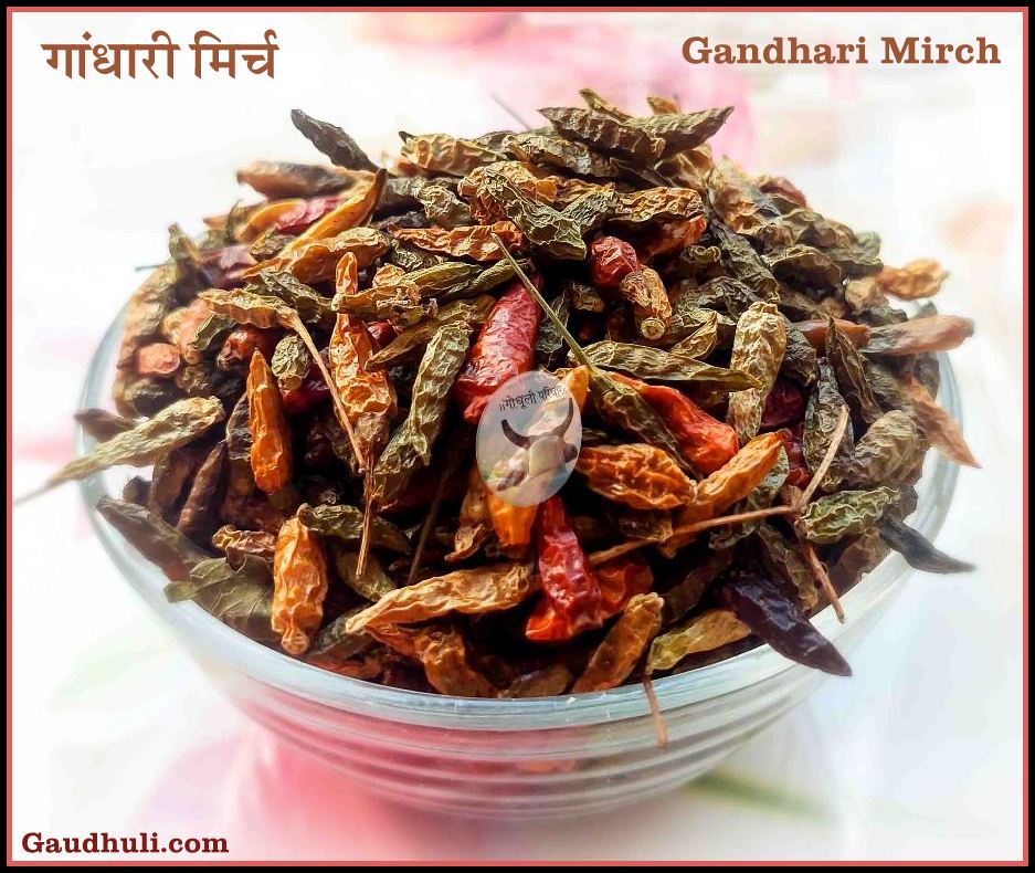 Gandhari Mirch | गांधारी मिर्च - (पूर्णतया प्राकृतिक - Naturally Grown) - 100 gm - Image 2
