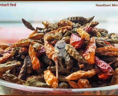 Gandhari Mirch | गांधारी मिर्च - (पूर्णतया प्राकृतिक - Naturally Grown) - 100 gm