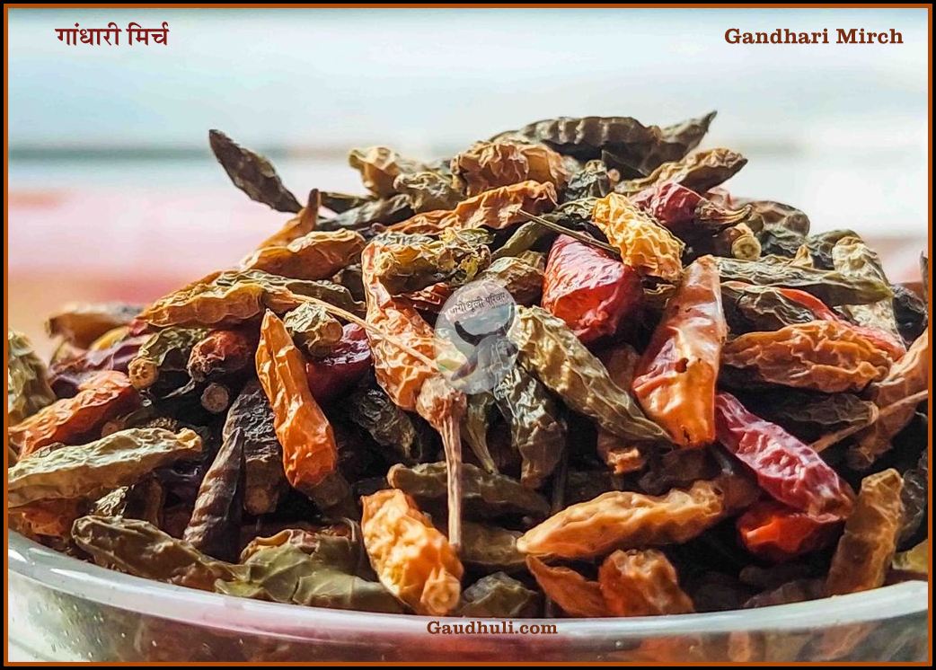 Gandhari Mirch | गांधारी मिर्च - (पूर्णतया प्राकृतिक - Naturally Grown) - 100 gm