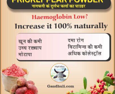Prickly Pear Fruit Powder/ नागफणी फल पाउडर (150gm) (खून बढ़ाने की अद्भुत शक्ति)