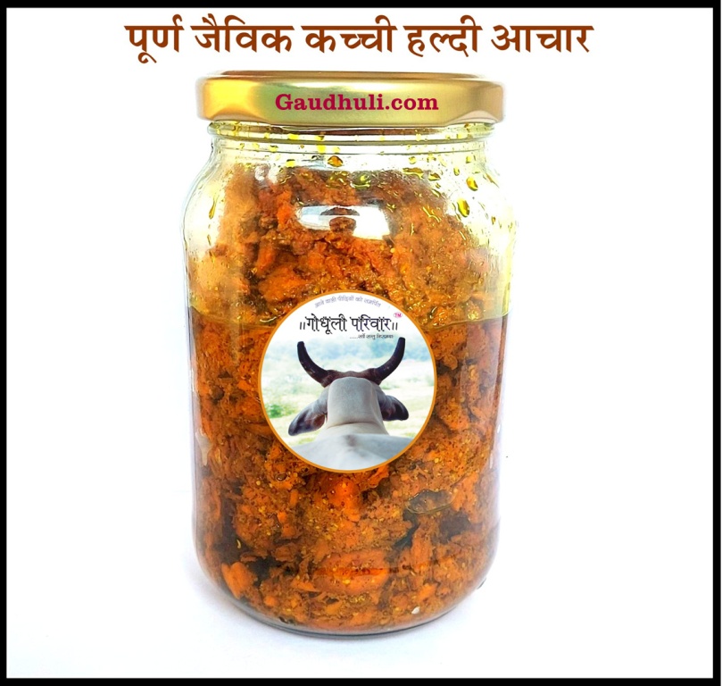 Organic Raw Haldi Achar in Organic Mustard Oil (Homemade Turmeric Pickle) / जैविक कच्ची हल्दी का अचार (सरसो के तेल से घर का बना)- 400gm
